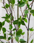 Minimalist Artificial Citrus Tree - 7'