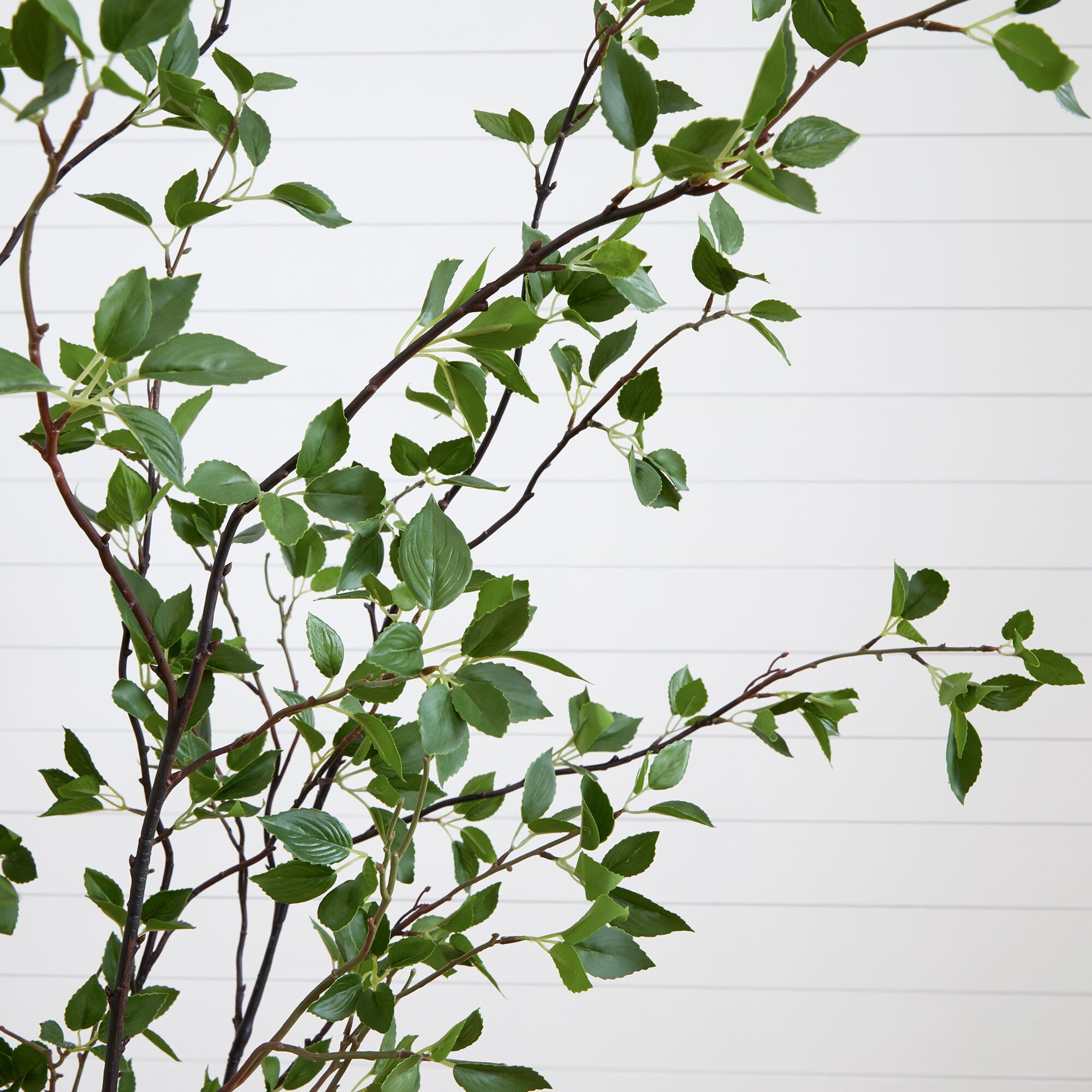 Minimalist Artificial Citrus Tree - 7'