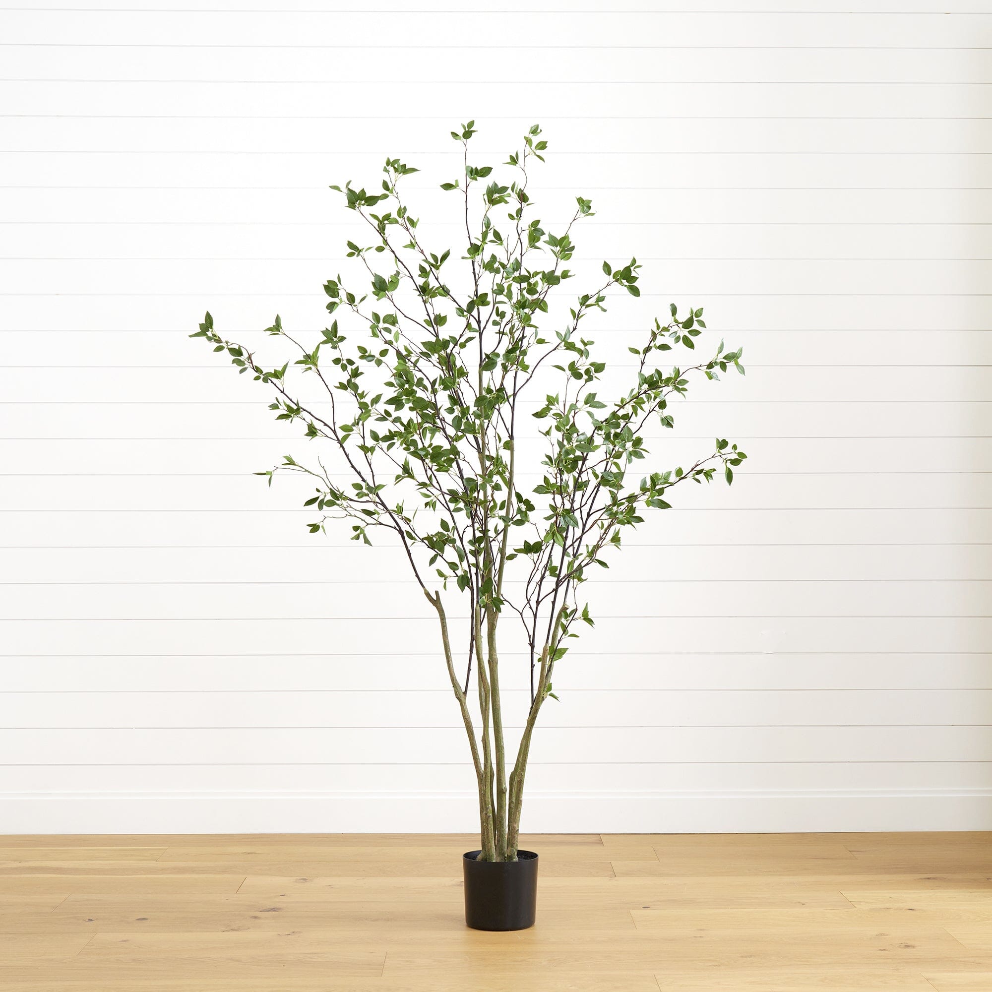 Minimalist Artificial Citrus Tree - 7'