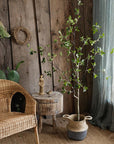 Artificial Minimalist Tree, Green Leaf Faux Tree In Pot