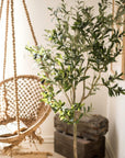 Faux Olive Tree In Pot