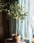 Faux Olive Tree In Pot