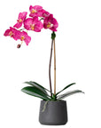Artificial orchid plant - pink phalaenopsis orchid in black pot - 21"