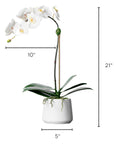 Artificial orchid plant - white orchid in white pot - 21"