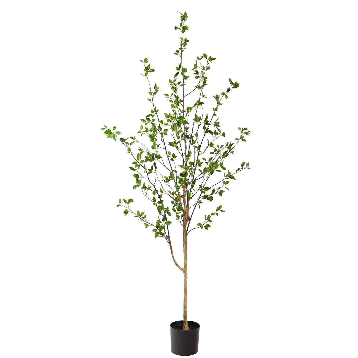 Minimalist Artificial Tree, Citrus Tree 6.5'