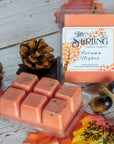 Autumn Nights - Wax Melt Clamshell