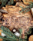 Rustic Carnival NOEL Mantle Fireplace Christmas Lettering Metal Decoration In Rusty,White or Gold