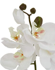 White Butterfly Orchid Stem Decor