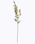 Tall Green Hops Stem for Delightfully Stylish Home Display