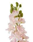 Pink Delphinium Stem for Lovely Floral Displays