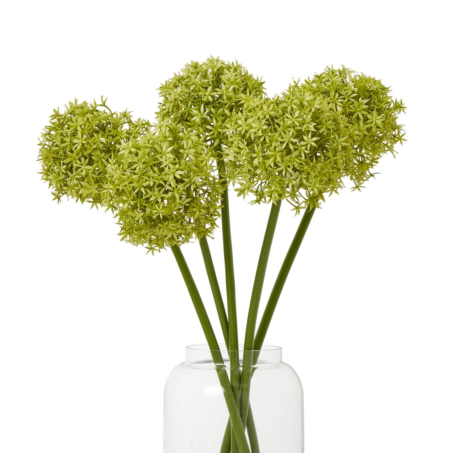 Lush Green Medium Allium Stem
