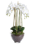 Large white faux orchid in clear glass pot, realistic blooms and roots, elegant home decor centerpiece by RoomLondon at brixbailey.com