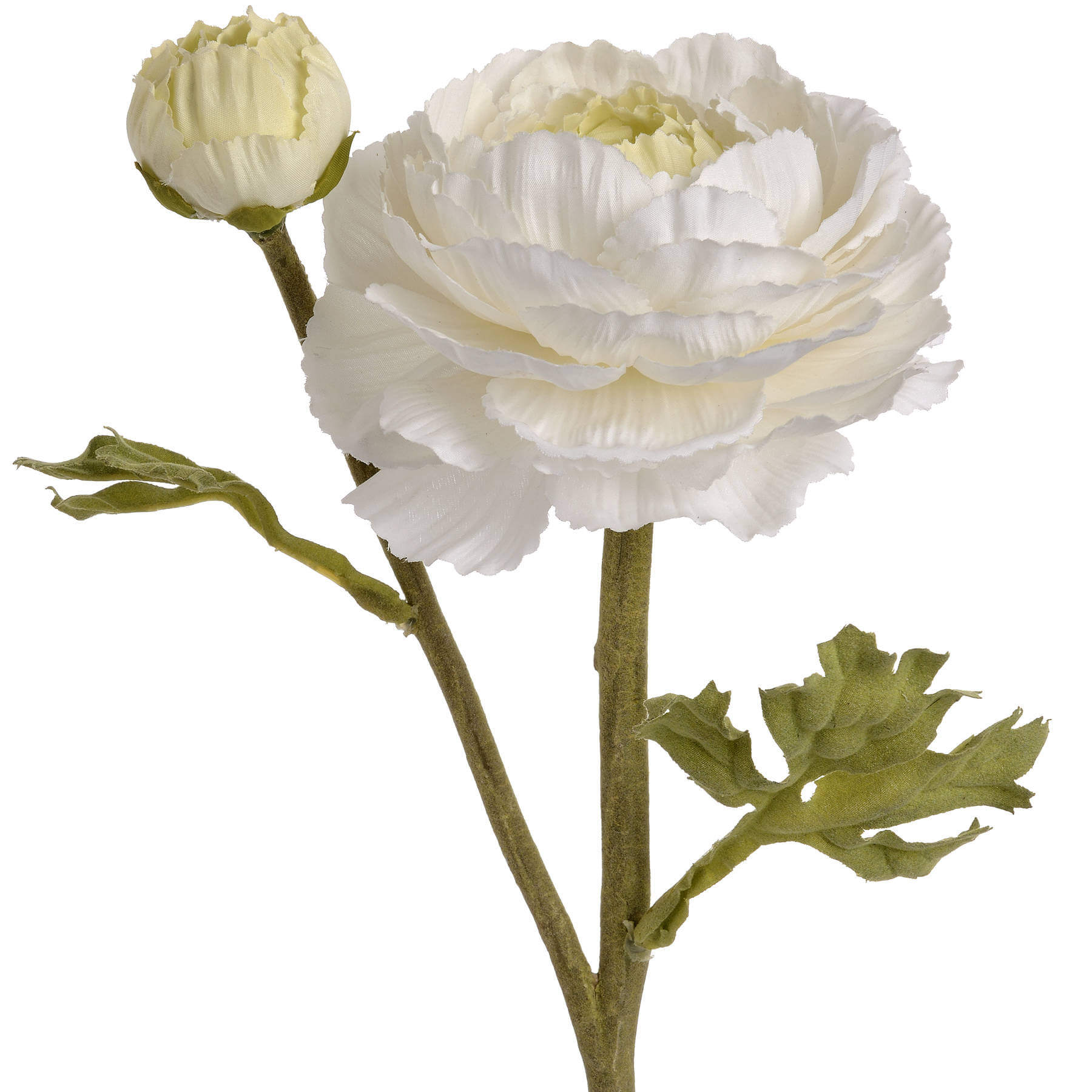 Elegant White Ranunculus Bouquet | Fresh Floral Spray
