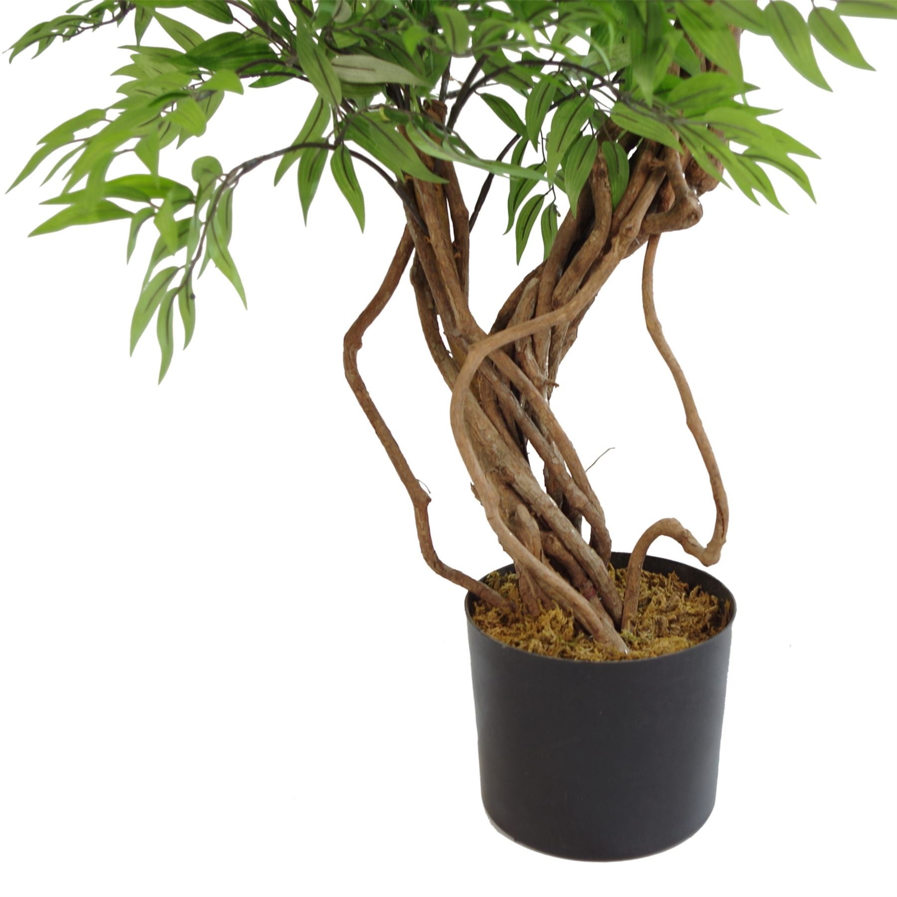 Artificial Tree Japanese Fruticosa Ficus Tree Plastic Pot 140cm-1