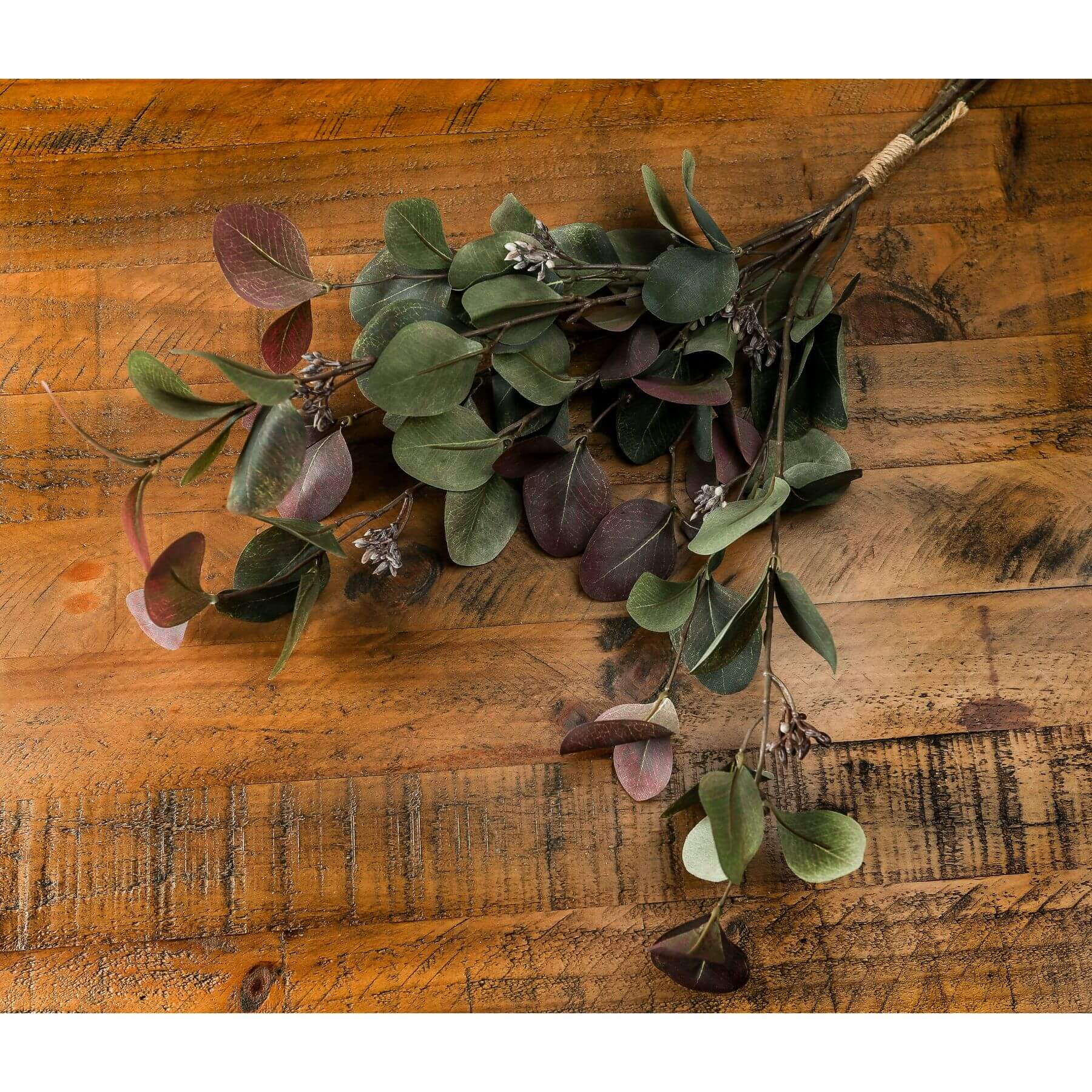 Variegated Eucalyptus Bouquet for Natural Home Style