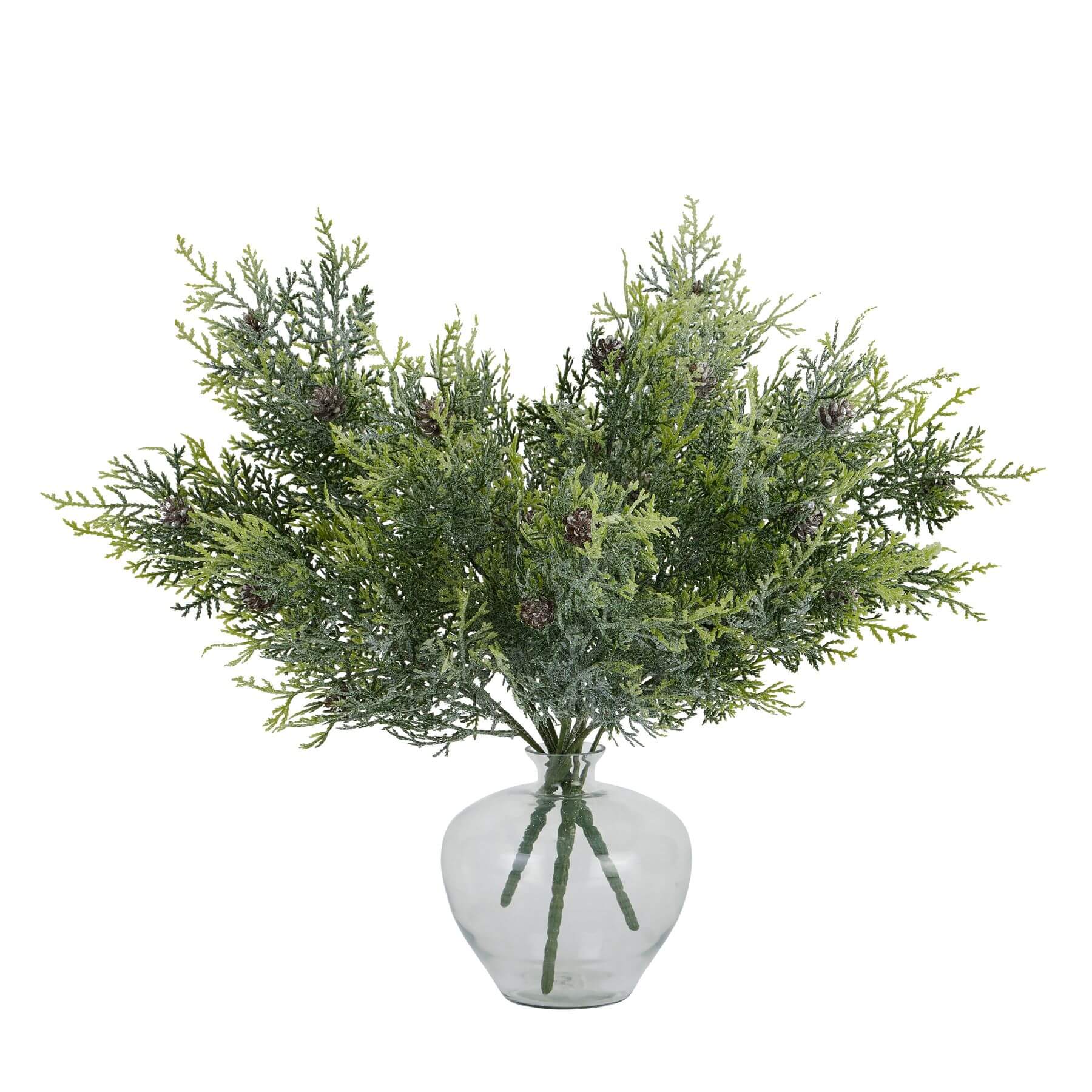 elegant frosted pine spray with pinecones in soft, ambient lighting