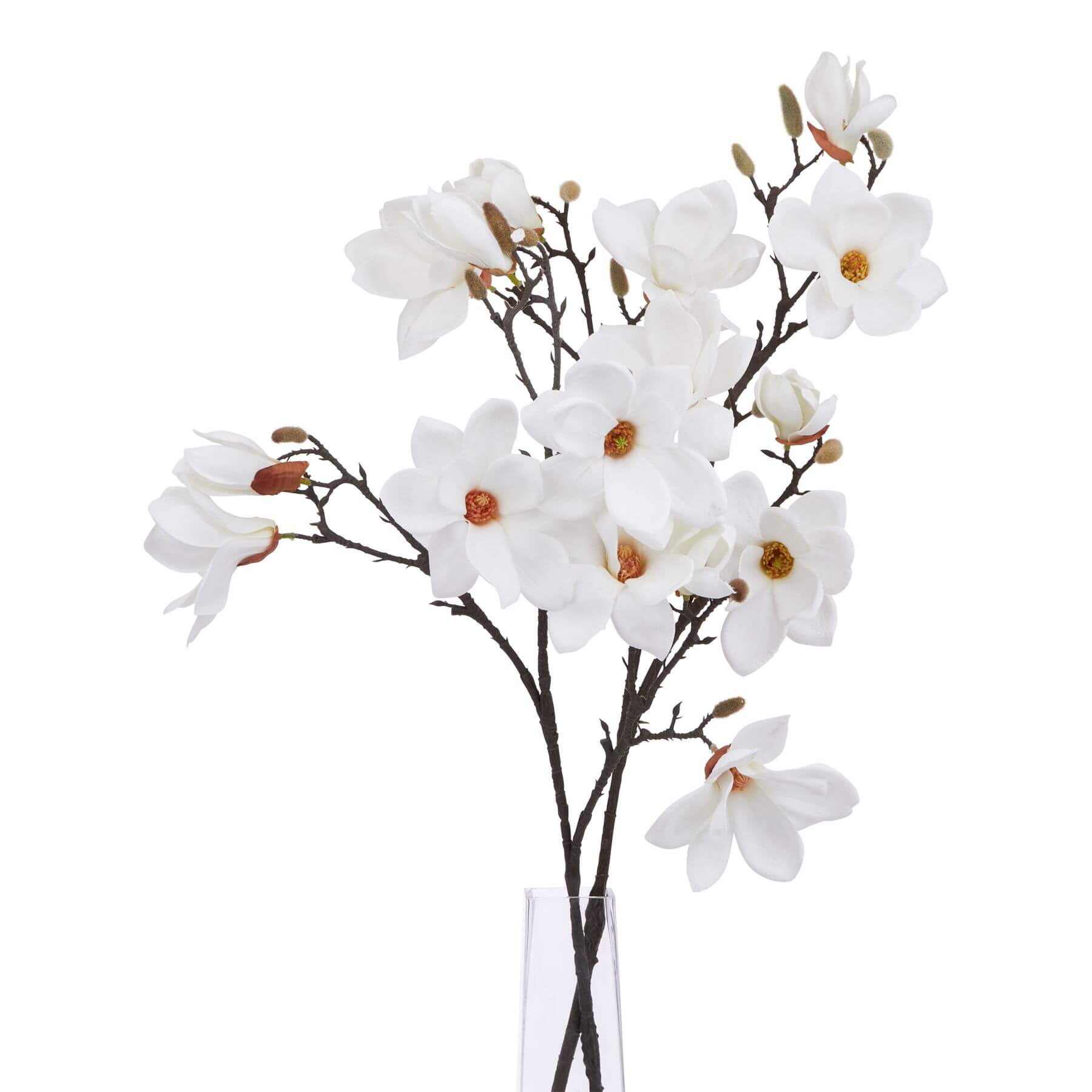 White Magnolia Stem Garden Decoration