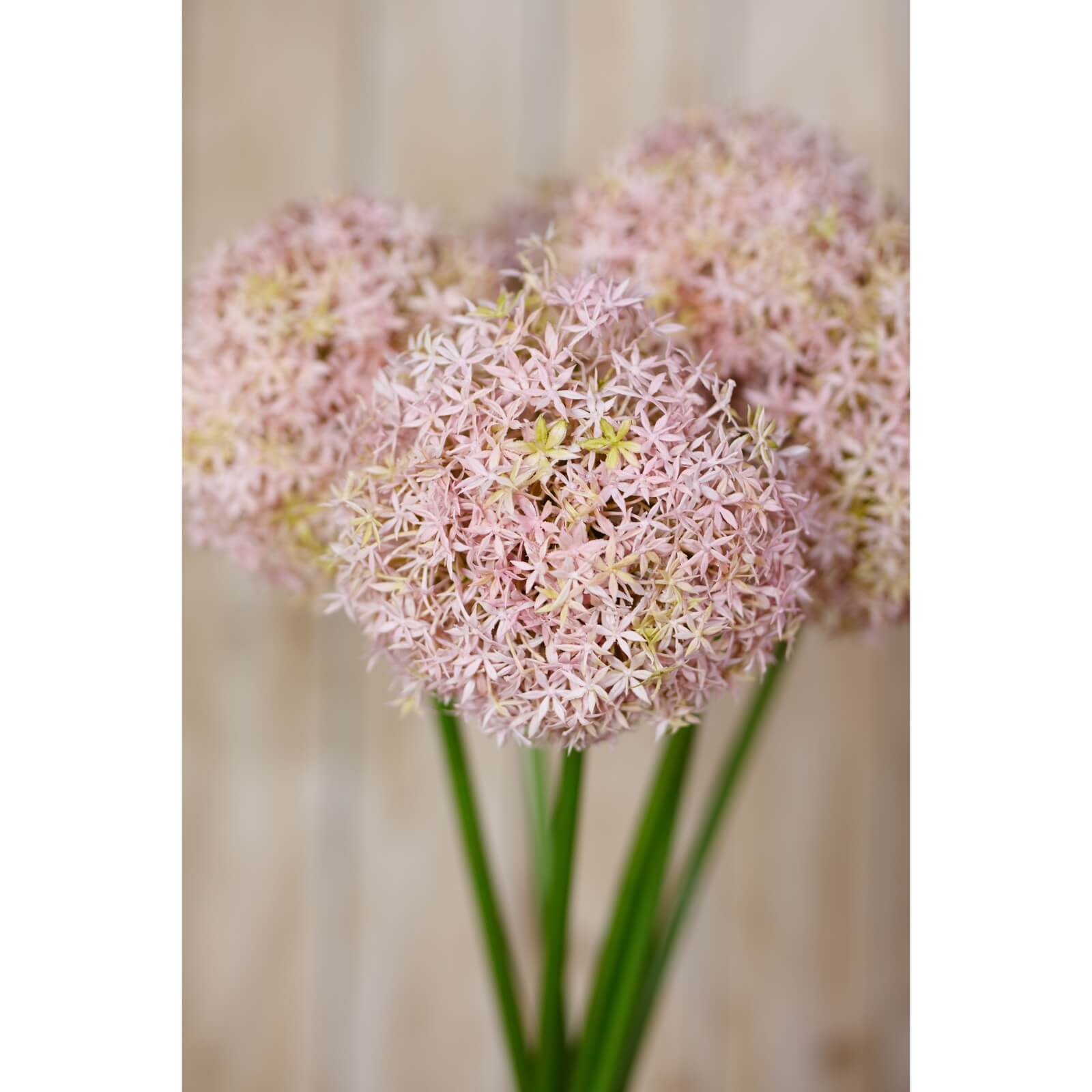 Lilac Allium Stem for Vases and Home Styling