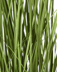 White Agapanthus Faux Plant Decorative Pot