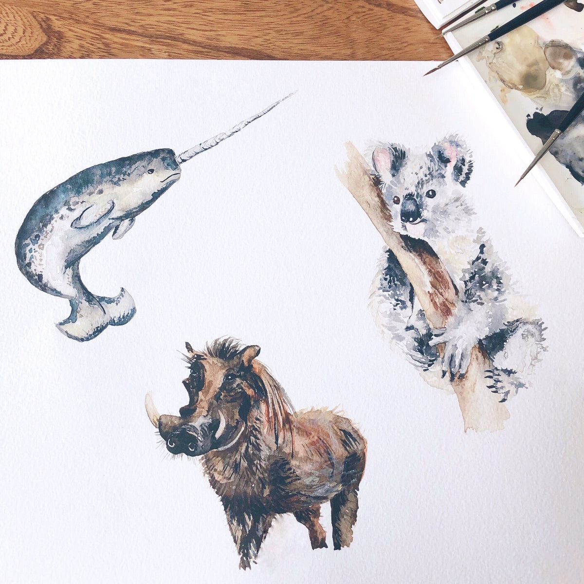 Personalised Watercolour Koala Bear Wall Print