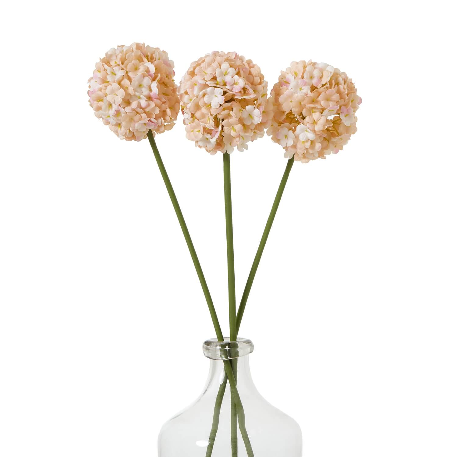 Apricot Allium Stem Effortless Bloom