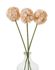 Apricot Allium Stem Effortless Bloom
