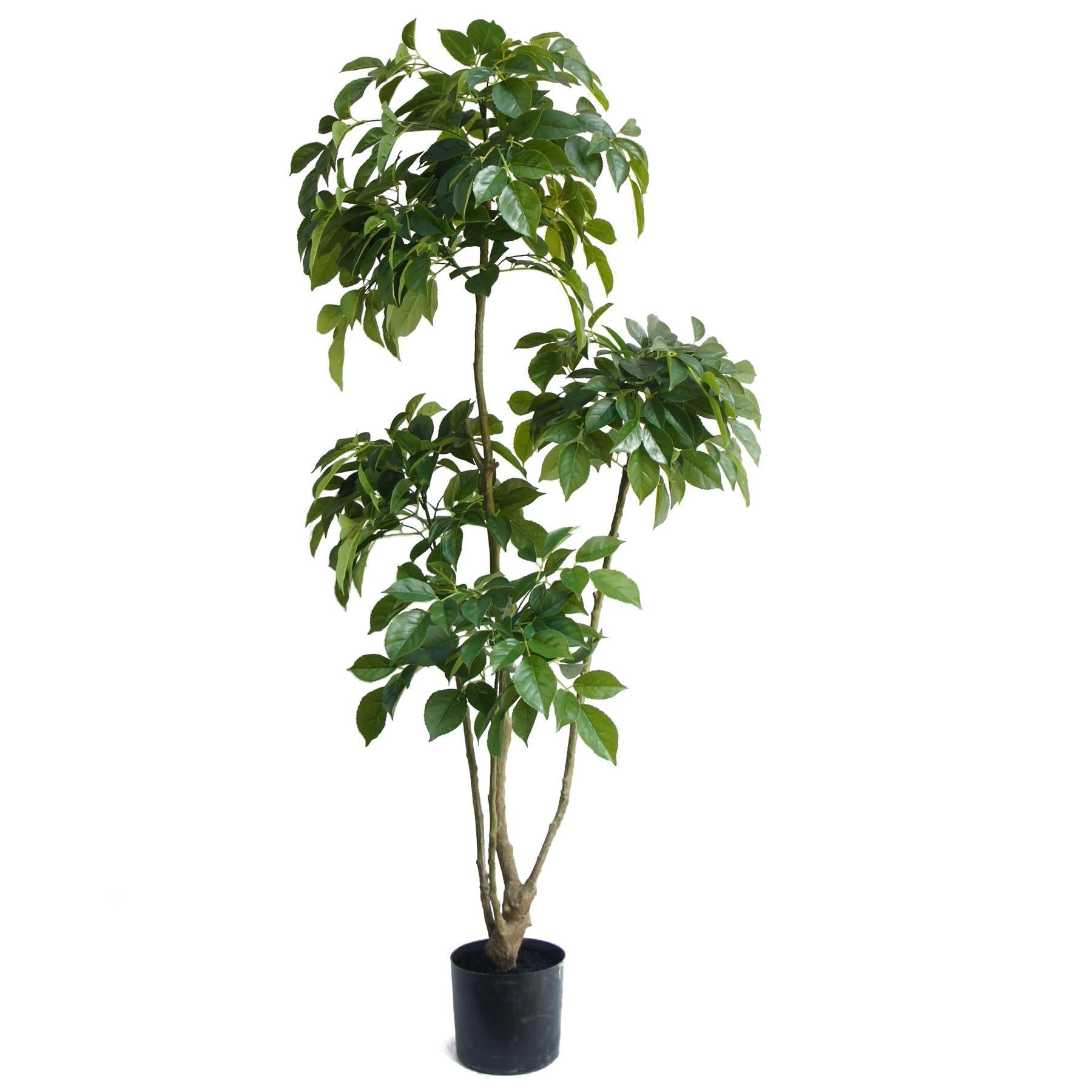 150cm Radermachera Realistic Artificial Tree-0