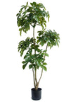 150cm Radermachera Realistic Artificial Tree-0