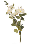 Soft White Cottage Rose Stem