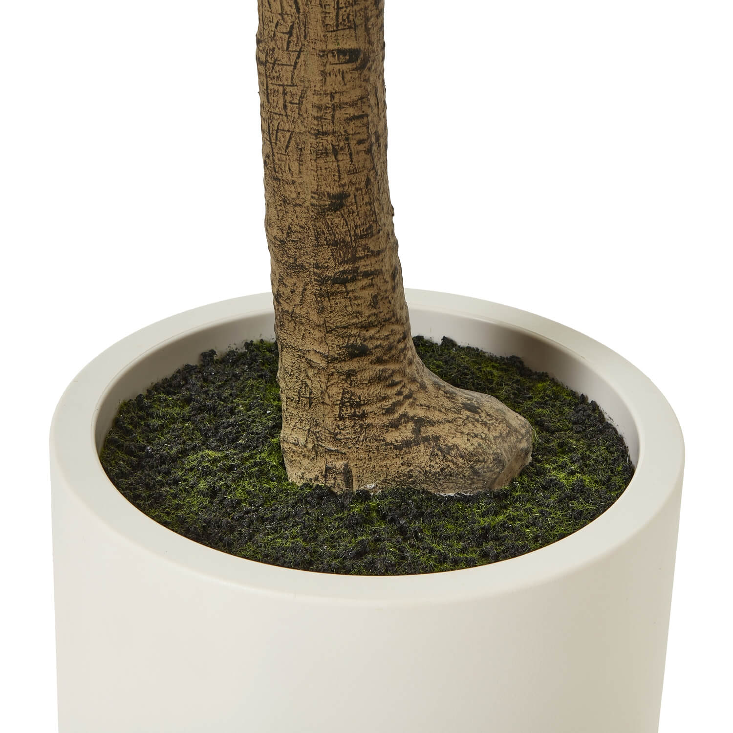 Tall Olive Tree in White Pot Mediterranean Style