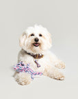 Baby Doll Cotton Rope Dog Toy