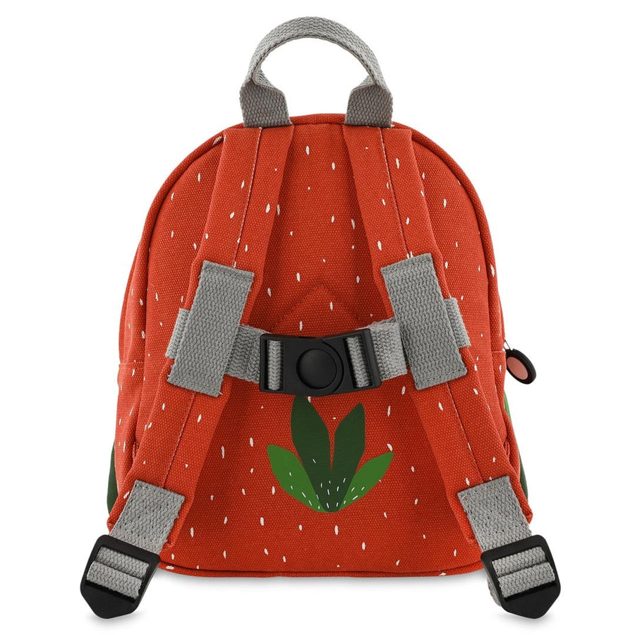 Backpack - Mr Parrot