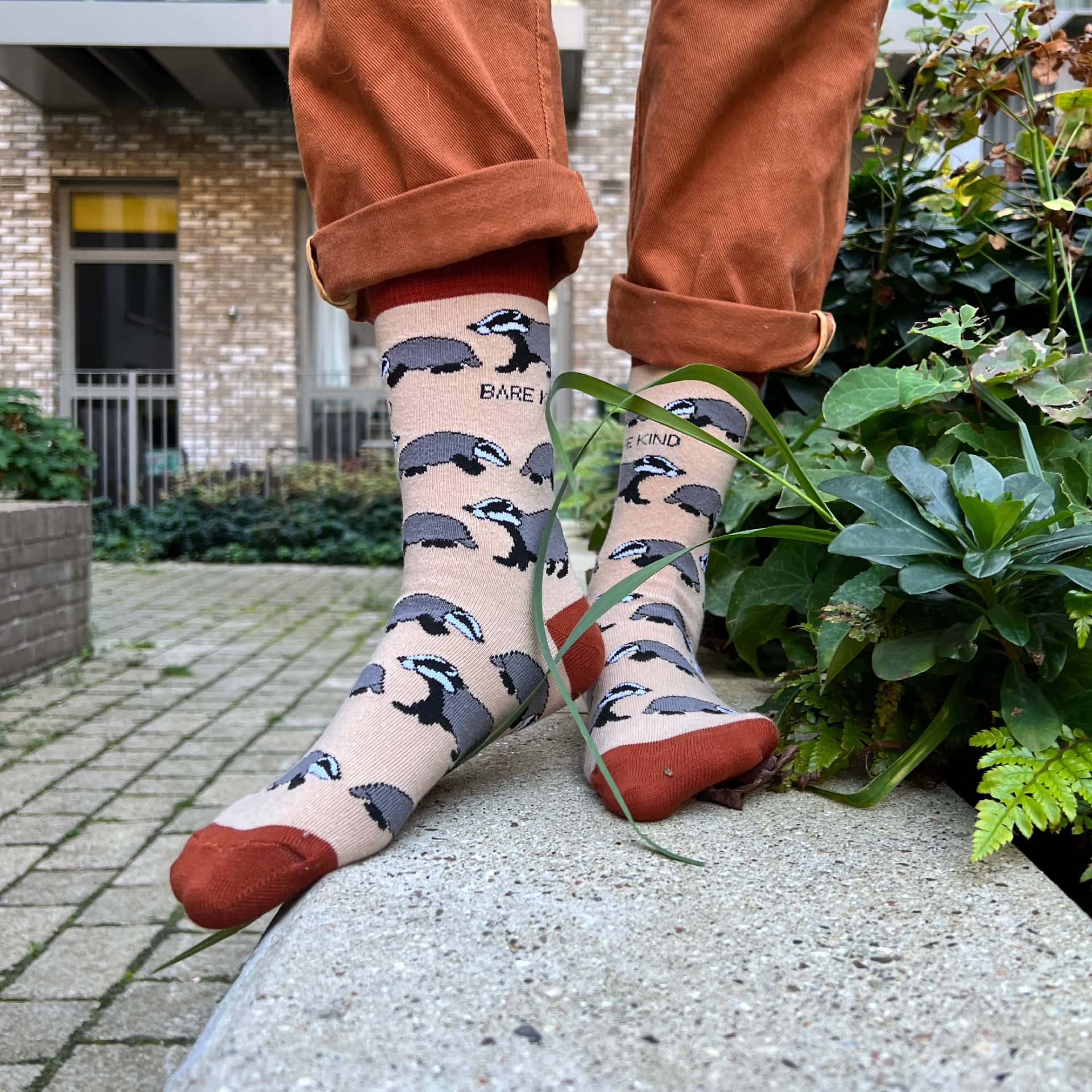 Save the Badgers Bamboo Socks