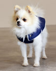 Soho Poms Blue & Ivory Teddy Bear Waterproof Dog Jacket