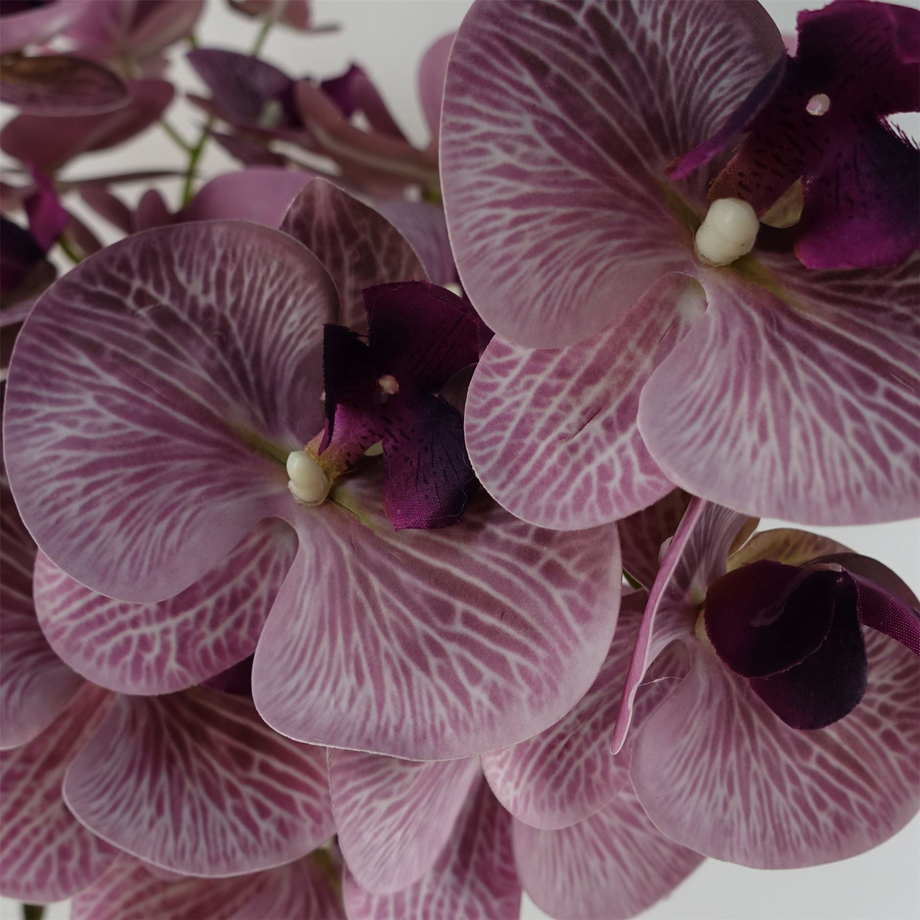 Pack of 6 x Artificial Flowers Phalaenopsis Orchid Purple Stem 100cm-3