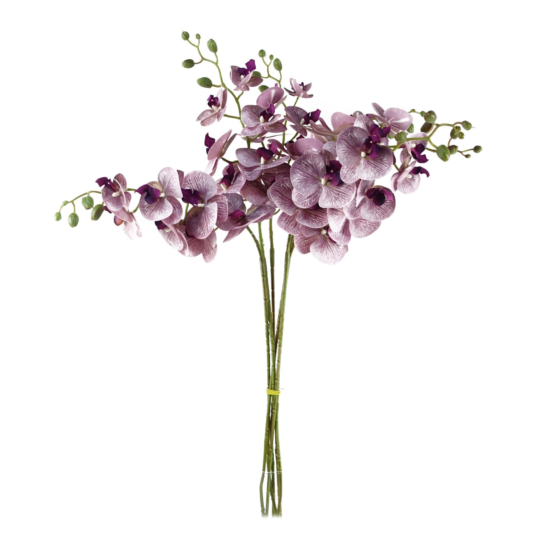Pack of 6 x Artificial Flowers Phalaenopsis Orchid Purple Stem 100cm-1
