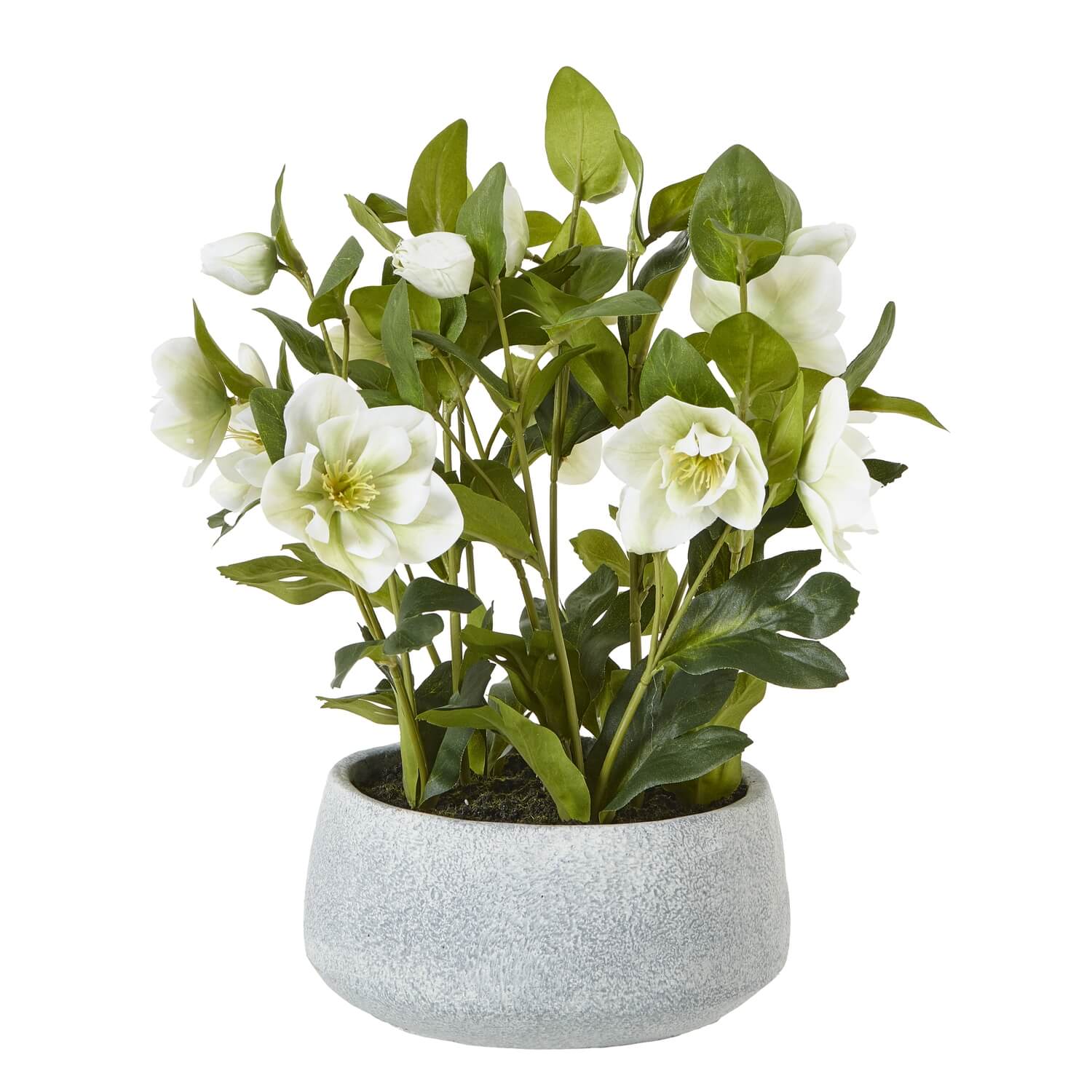 Faux White Hellebore in Ceramic Pot