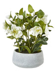 Faux White Hellebore in Ceramic Pot
