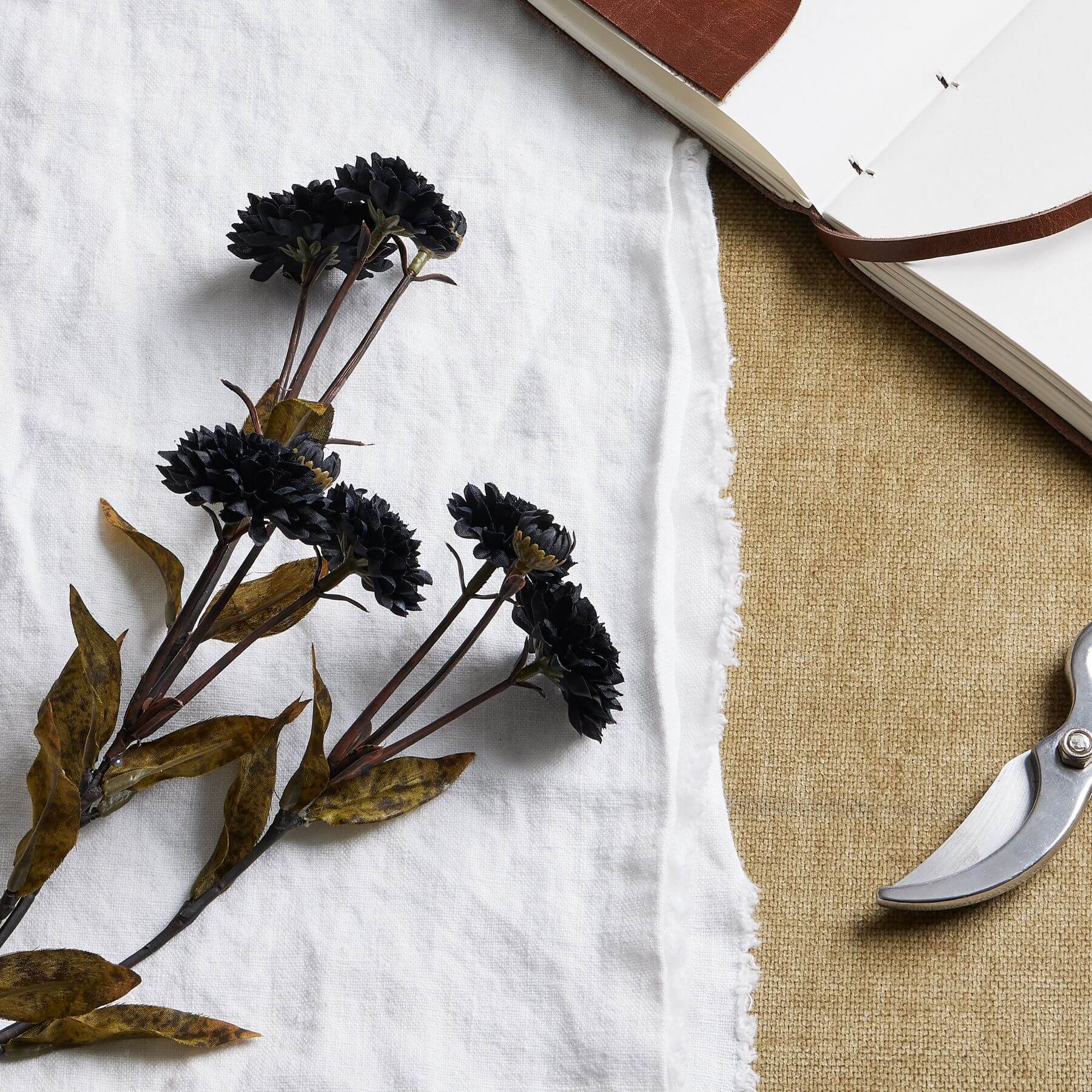 Black Chrysanthemum Stem Spray