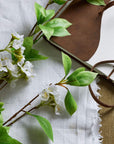 Fragrant Tall Mock Orange Spray | Elegant Floral Decor