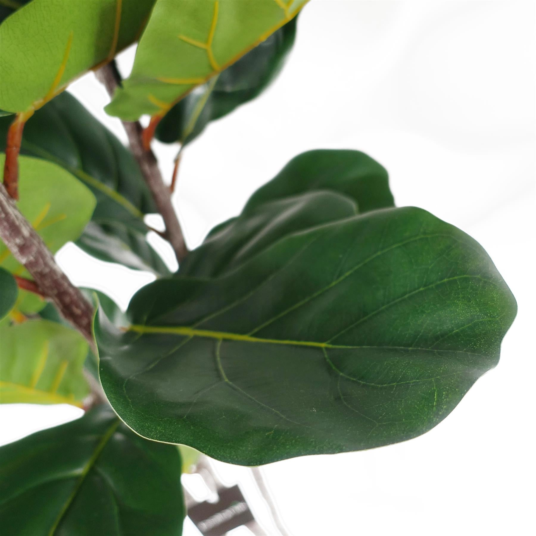 180cm Premium Artificial Fiddle Leaf Fig Tree-4