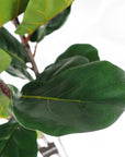 180cm Premium Artificial Fiddle Leaf Fig Tree-4
