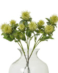 Hydrating Green Safflower Face Mist | Soothing Refresh