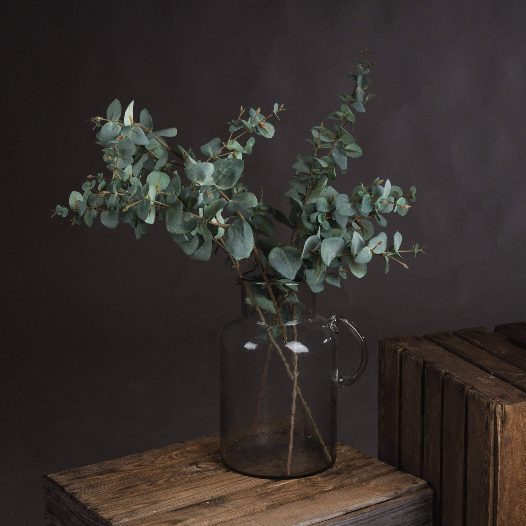 Fresh Variegated Eucalyptus | Natural Aromatic Foliage