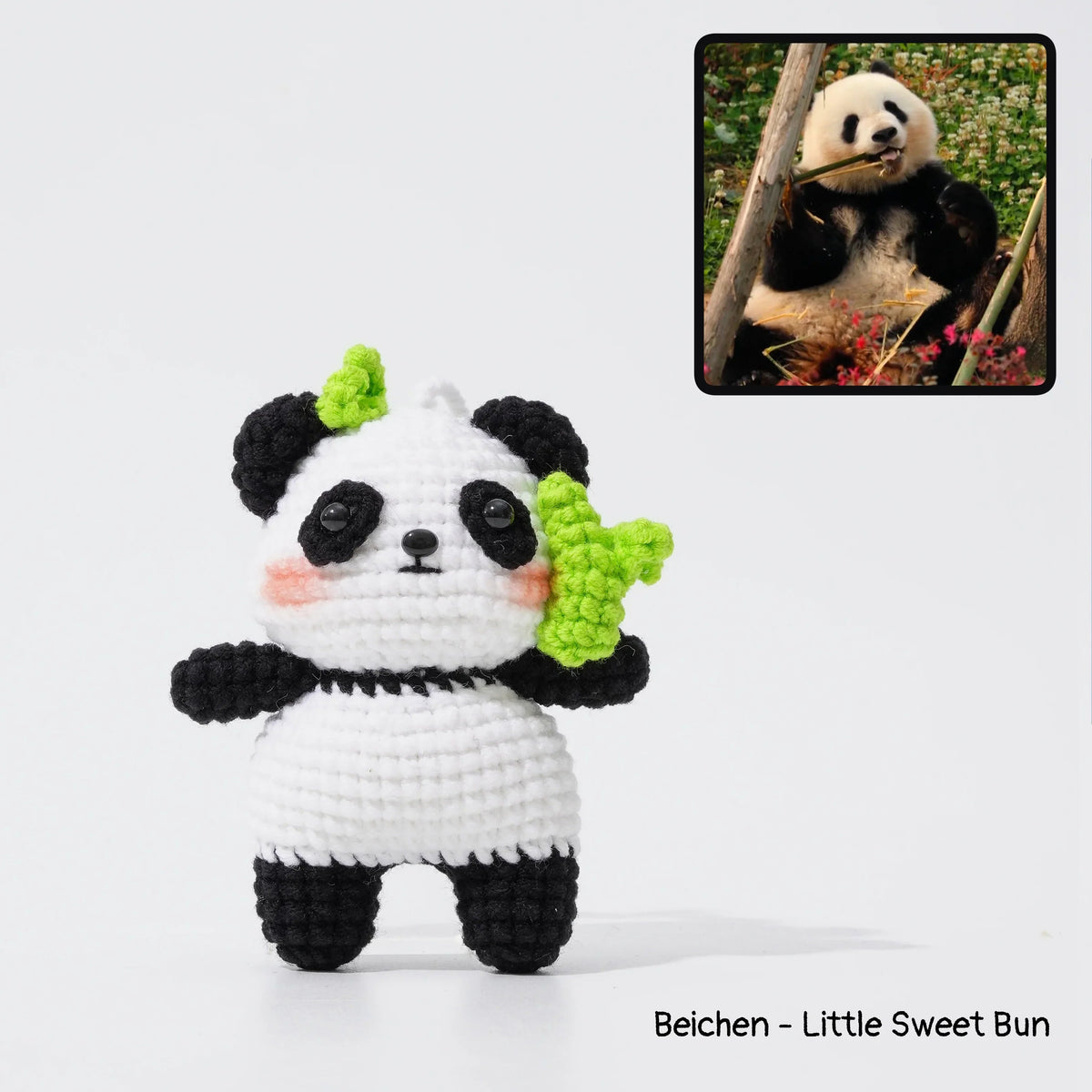 Giant Panda Family
