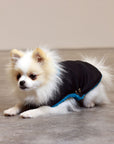 Soho Poms Black & Teal Teddy Bear Waterproof Dog Jacket