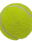 Double Strength Dog Tennis Ball - Durable, for Active Dogs