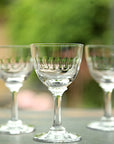 Crystal Liqueur Glasses with Lens Design