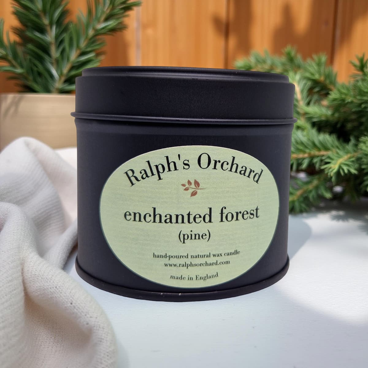 Enchanted Forest (Pine)