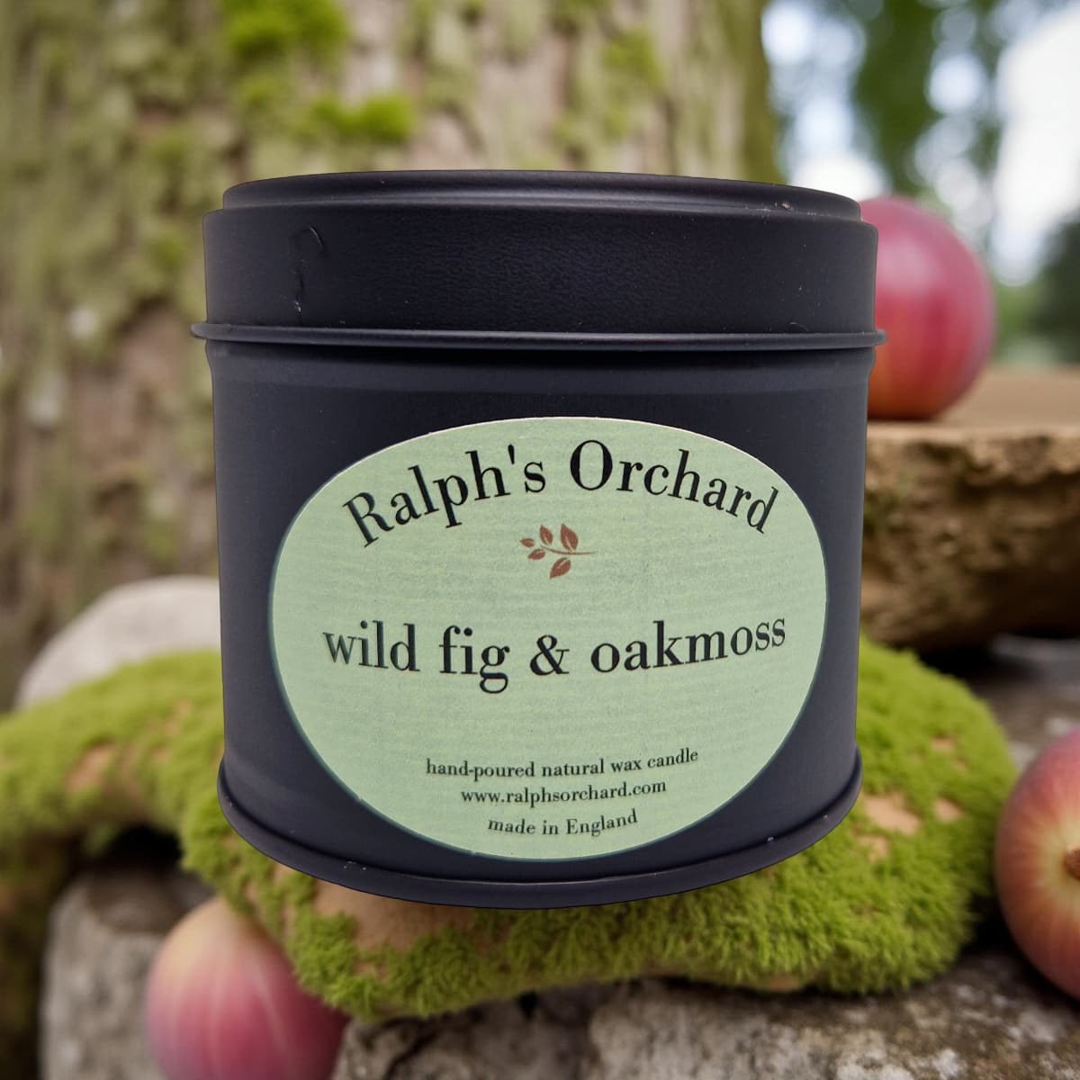 Wild Fig &amp; Oakmoss